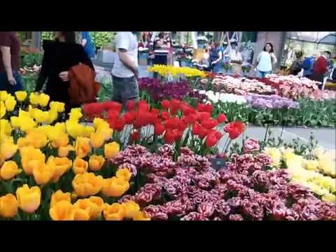 Keukenhof 2018
