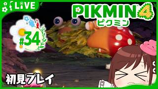 順調に地獄を味わっています【ピクミン4初見プレイ】 #おはようvtuber  #34