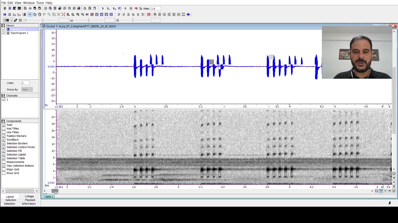 Introdução a análises bioacústicas usando o Raven - Aula 01