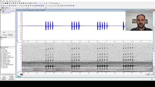 Introdução a análises bioacústicas usando o Raven - Aula 01