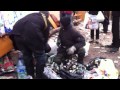 Video for Video cảnh sát chống bạo động Ukraine trúng bom xăng