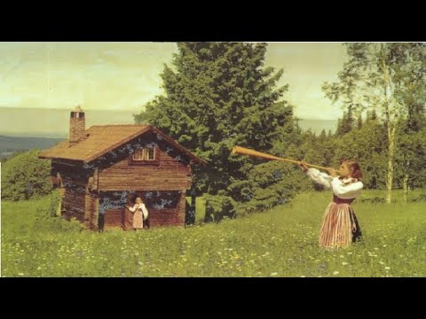 My Name expired /// Viking Diaries 36#