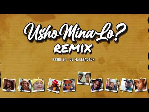 Dj Malefactor - UshoMina Lo Remix ft Siya Shezi, Froz, Leverage, Maseven, Infektist, Ndlaviini, Ciwe