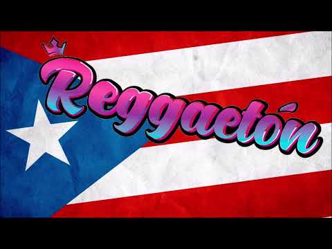 Plan B - Perreandote