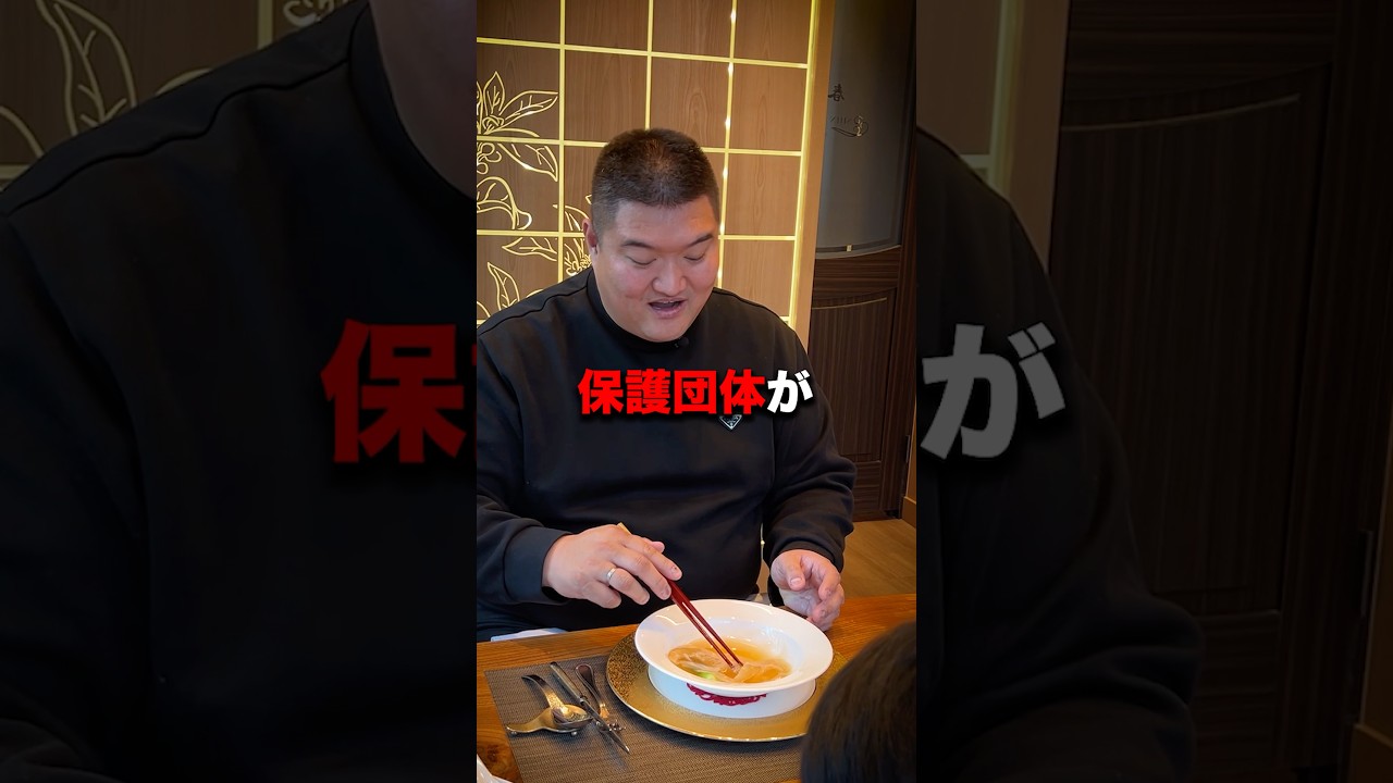 フカヒレってなんのヒレ？#中国輸入 #ガチ中華 #お金持ち #令和の虎 #BIG神田