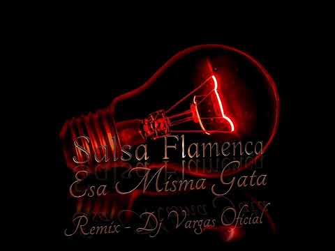 TEMAS DJ VARGAS OFICIAL/SALSA FLAMENCA - ESA MISMA GATA REMIX