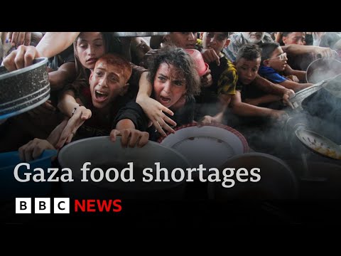 美國稱加沙的 "飢餓政策 "將是 "可怕和不可接受的" | BBC News (US says “policy of starvation” in Gaza would be “horrific and unacceptable” | BBC News)