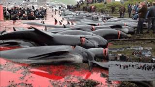 Anne Clark - Elegy for a Lost Summer (mix), 606 extended ver