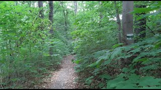 nördlich von Altenburg 25 August 2022