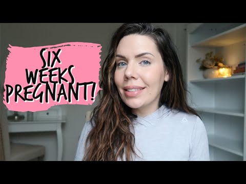 6 WEEKS PREGNANT! Low hCG, Fatigue, and More