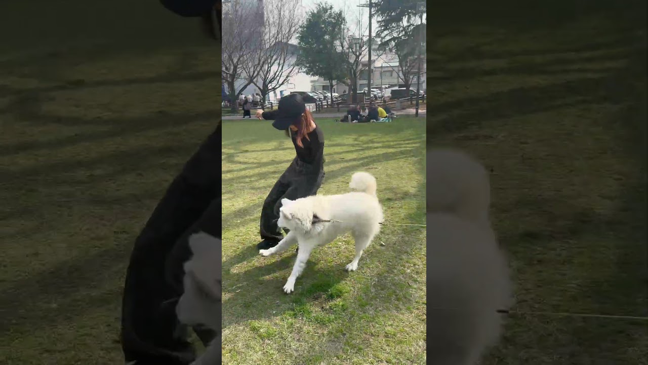 可愛過ぎやろ､､､ #ガールズグループ #福岡 #アイドル