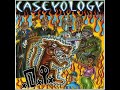 Caseyology - Persecution for Profit