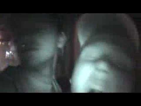 Fischsucht Fahrrad und findet Eisbär