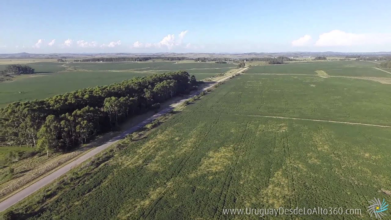 Video aéreo 360º en campos marítimos, Maldonado, Uruguay Desde Lo Alto