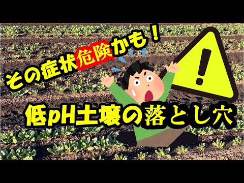 生石灰:危険な肥料 トピックス
