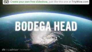 preview picture of video 'Bodega Head - Bodega, California, United States'