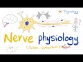 Nerve Physiology Introduction To The Action Potential Physiology Playlist