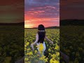 Teri Nazron Ki Taraf Nazrein WhatsApp Status Lofi Slowed Song Status Shorts Viral Trending