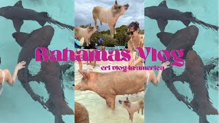 【旅行Vlog】バハマ vlog '22 // カリブ海上陸 🇧🇸！🏖👙🌴🐠