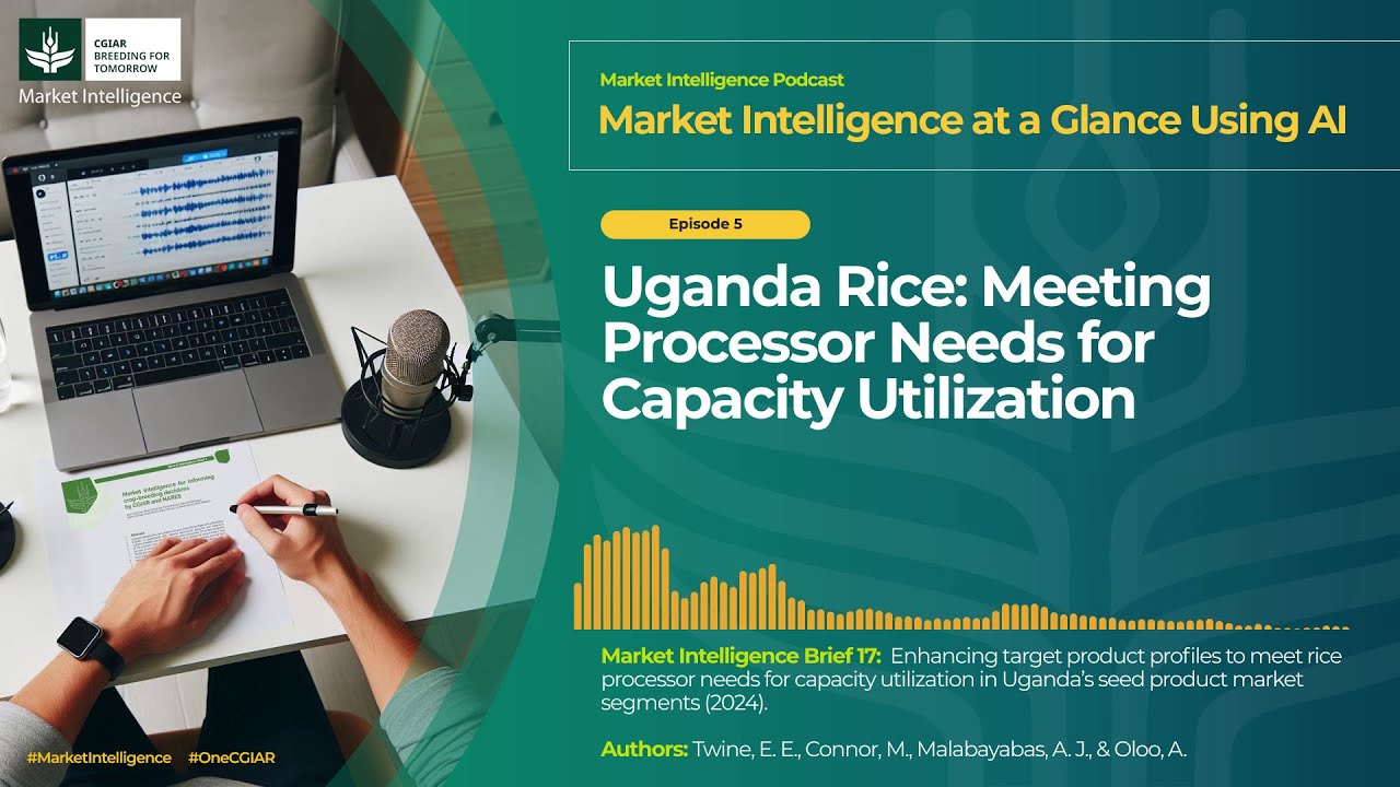 Uganda Rice: Meeting Processor Needs for Capacity Utilization [MIP Ep5]