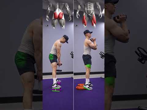 Dumbell Squat - KNOW THE DIFFERENCE!