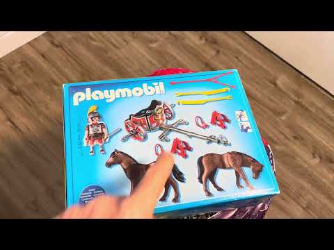 Playmobil 5391  History