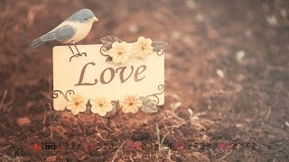 [Kara + Engsub + Vietsub] Das Gefühl - Annett Louisan (The Feeling/Cảm Giác)