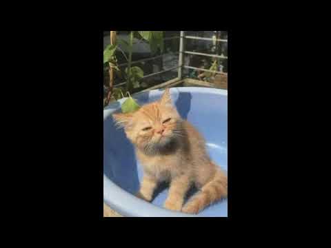 O TRUSTME - ถ้าที่ตรงนั้นไม่มีเรา (Audio)