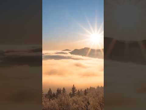 what if sun disappeared?
