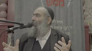 מים שאין להם סוף📚▪️כמה רגעים תורה עם הרב נחמנסון