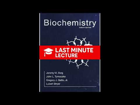 Catalytic Strategies of Enzymes | Chapter 9 – Biochemistry (8th)