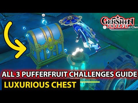 All 3 Begin Training Pufferfruit Challenges Guide Luxurious Chest Fontaine Genshin Impact Update 4.1