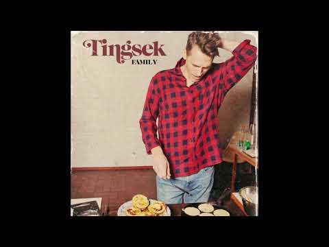 Tingsek - Family (Music only)