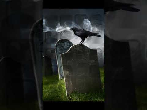 R.I.P  LIL VARO Y CHAKAL PUSY   Severin Killer, J Sabueso