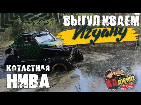 Смотреть видео Смотреть видео