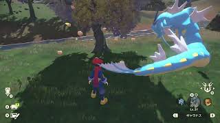 【異次元実況】ポケモンレジェンズアルセウスを実況プレイ　Part106