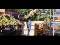 One Rural Day Trailer