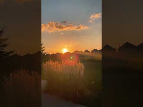 Sunshine⛅️@VL-38#sunset#summer#viral#canadadiaries#canada#love#nature#love#shorts#support
