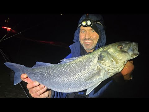 3 DIFFERENT MARK AND ONE HUGE BASS ON THE LLYN PENINSULA | BASS FISHING NORTH WALES | A NEW PB BASS
