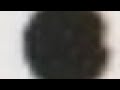 Battle For Nothing All Intros As Of TPOT 22