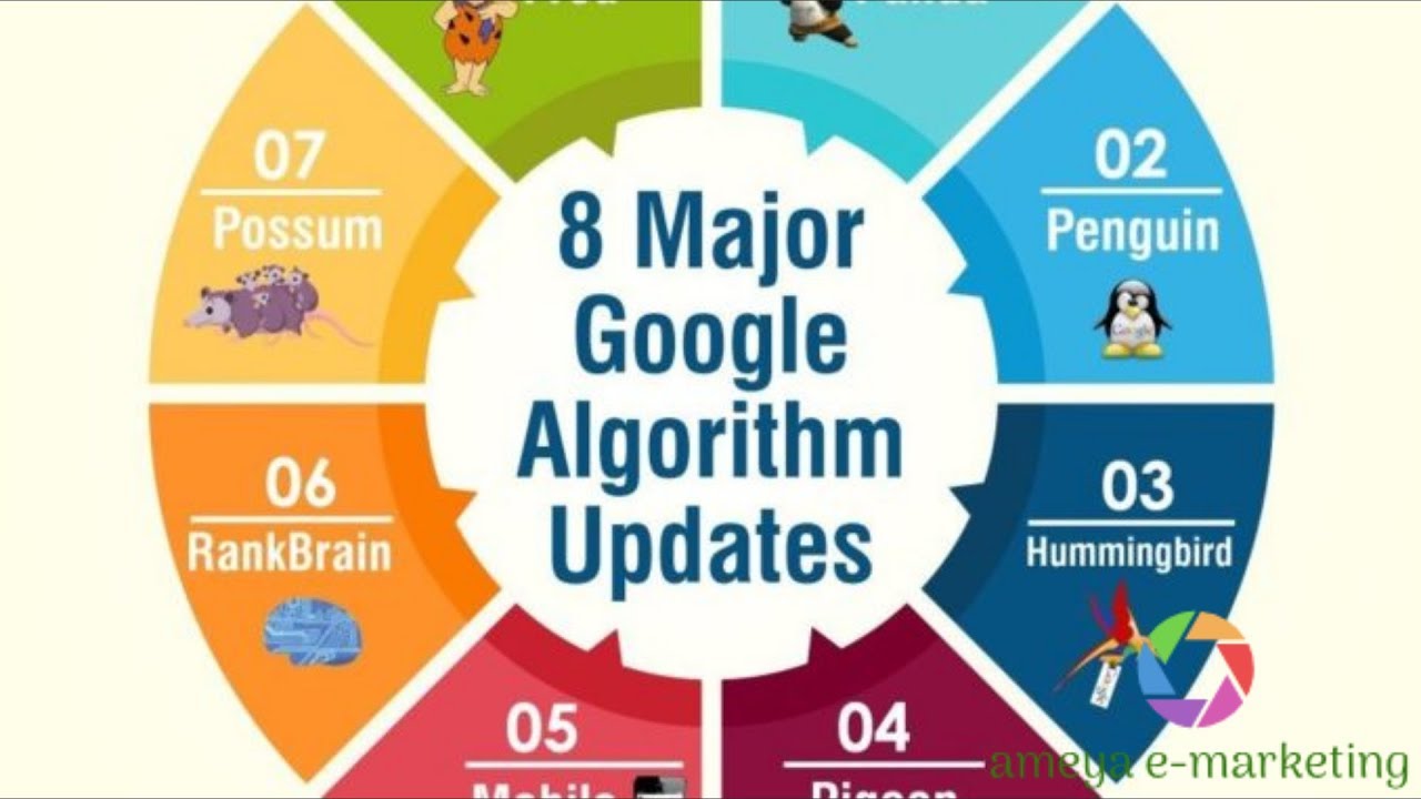 8 Major Google Algorithm Updates | 2019 | SEO