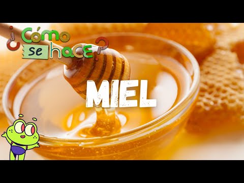 Cómo se hace la miel explicado para niños