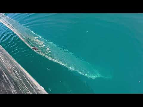 Lake Superior DNR lake trout assessment 2022 – WTIP Outdoor News Podcast