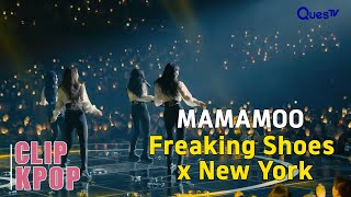 [Clip] Songs Only | Freaking Shoes and New York | Mamamoo the Con
