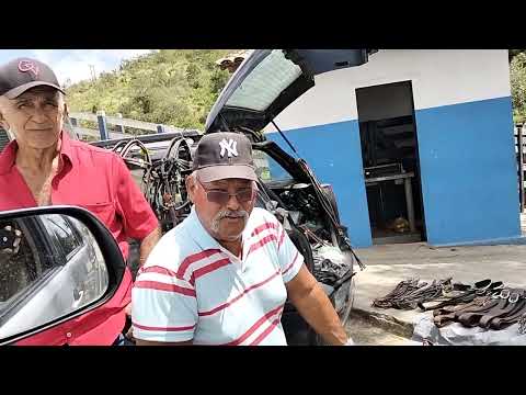 Feira de gado de Alagoa Grande-PB, neste sábado, 11/10/25