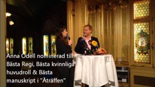 2013 års Guldbaggar - nomineringar