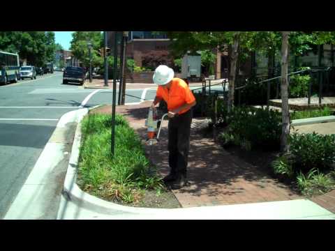 ProArbor Tree Service Drills Rootwell Hole