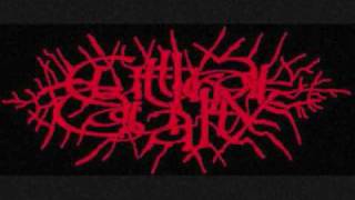 Knife Meets Throat Meets End Of Your Life Music Video