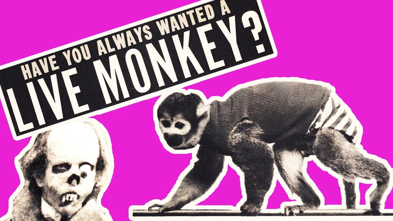 Weird Stuff in Old Horror Magazines