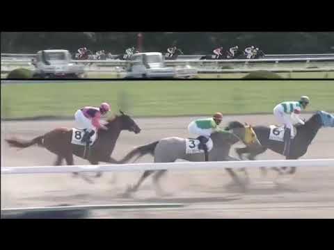 2018.10.14 2yo Newcomer (JPN) - Weitblick